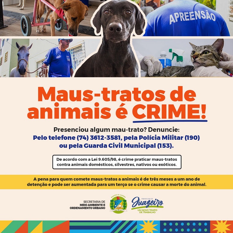 Prefeitura de Juazeiro alerta que maus-tratos com animais podem levar à reclusão e multas