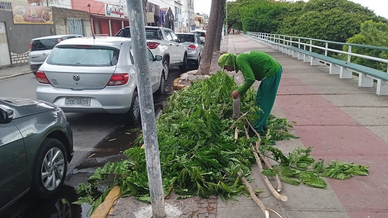 Prefeitura de Juazeiro intensifica serviço de poda para garantir segurança da população em período chuvoso