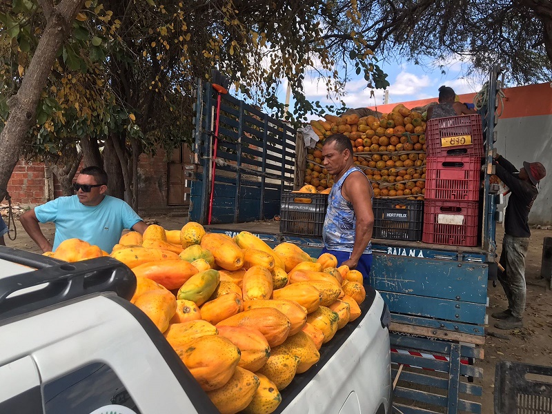 Banco de Alimentos de Juazeiro cresce quase 40% em arrecadações em 2023 e aumenta a oferta de comida para mais instituições