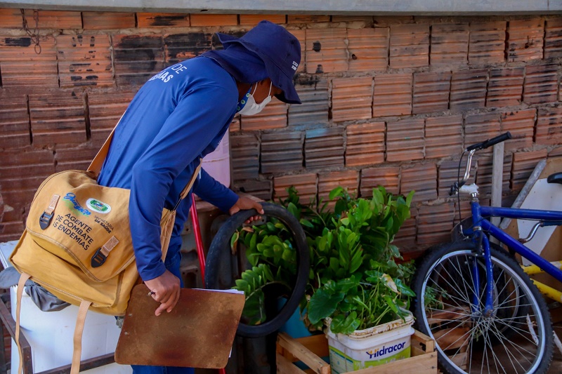 Com chuva, aumenta o risco de reprodução do Aedes aegypti, alerta Prefeitura de Juazeiro
