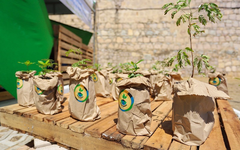Mais Amor por Elas: Prefeitura de Juazeiro realiza doação de mudas da caatinga durante projeto em homenagem às mulheres