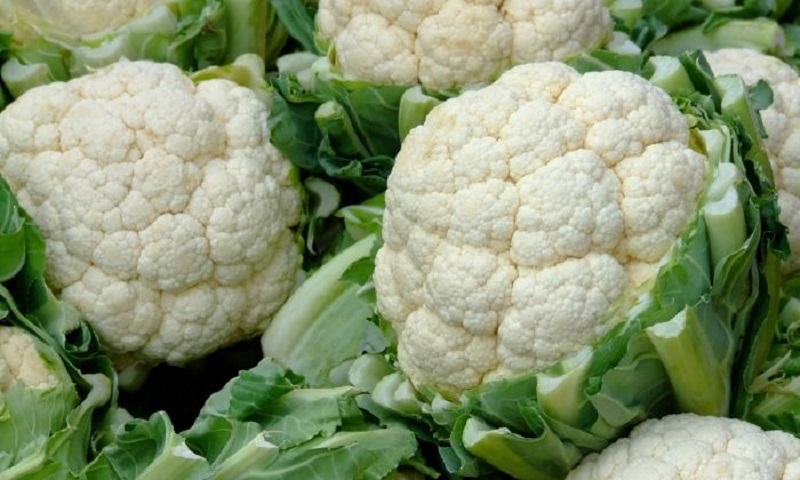 Confira a cotação dos hortifrutigranjeiros no Mercado do Produtor de Juazeiro nesta segunda-feira (14)