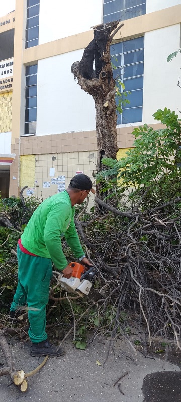 Prefeitura de Juazeiro atende chamado do Corpo de Bombeiros e retira árvore comprometida na Praça da Misericórdia