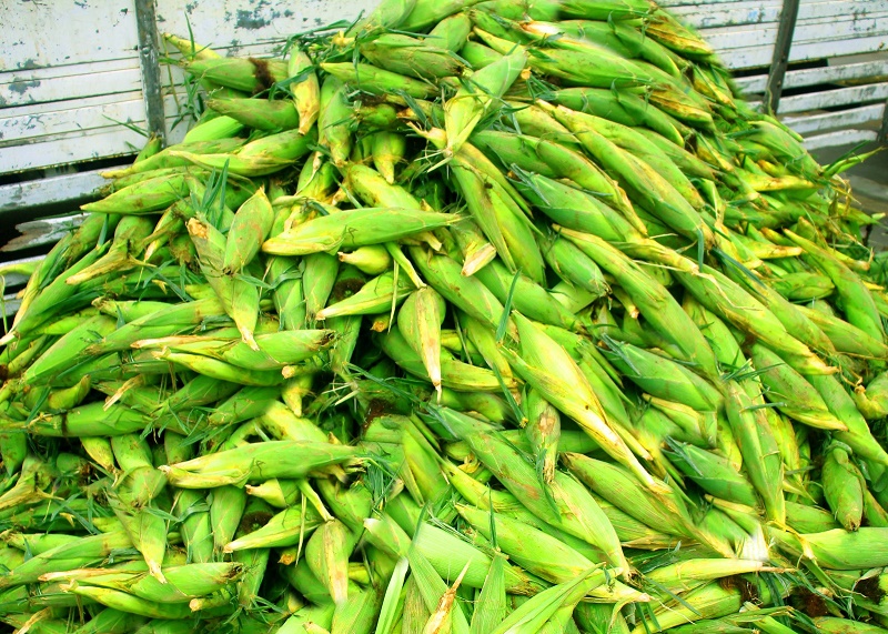 O Mercado do Produtor de Juazeiro divulgou a cotação dos produtos comercializados no entreposto nesta quarta-feira (7)