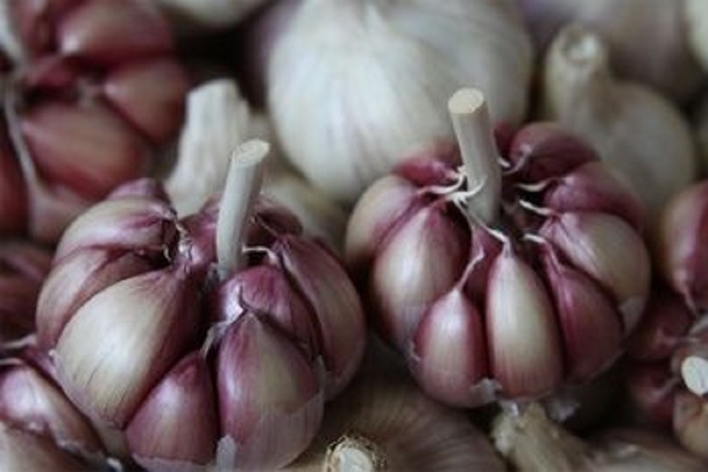 Confira a cotação dos hortifrutigranjeiros comercializados no Mercado do Produtor de Juazeiro nesta segunda-feira