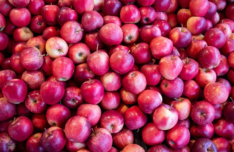 Confira a cotação dos hortifrutigranjeiros no Mercado do Produtor de Juazeiro nesta segunda-feira (03)