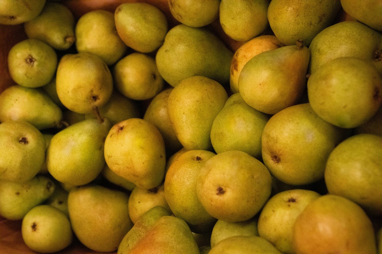 Confira a cotação dos hortifrutigranjeiros comercializados no Mercado do Produtor de Juazeiro nesta sexta-feira