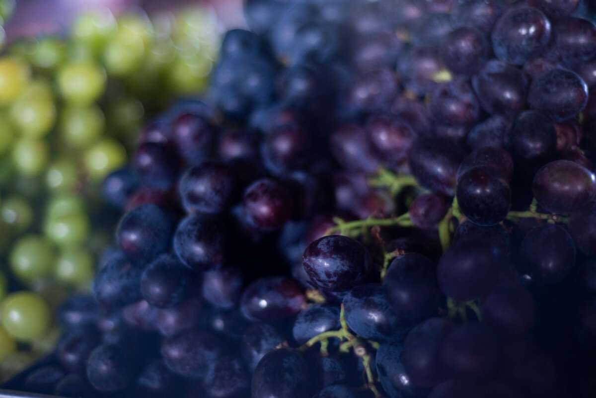 Confira a cotação dos hortifrutigranjeiros no Mercado do Produtor de Juazeiro nesta sexta-feira (17)