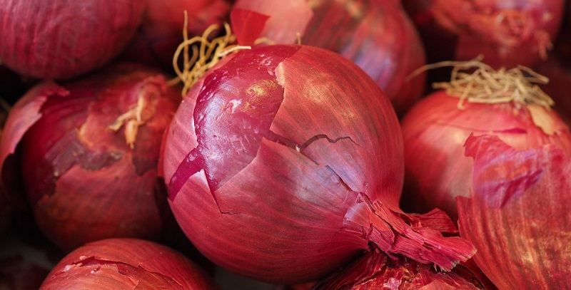 Confira a cotação dos hortifrutigranjeiros comercializados no Mercado do Produtor de Juazeiro nesta segunda-feira