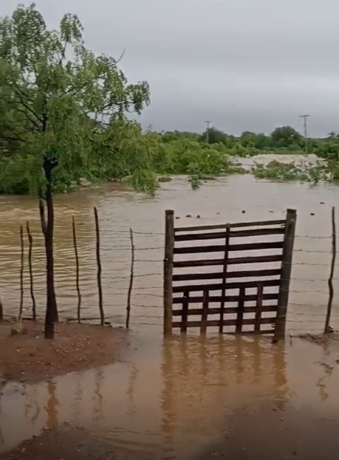 Chuvas superam 200 mm no interior e 83 mm na sede de Juazeiro: gestão municipal atua para acolher população atingida