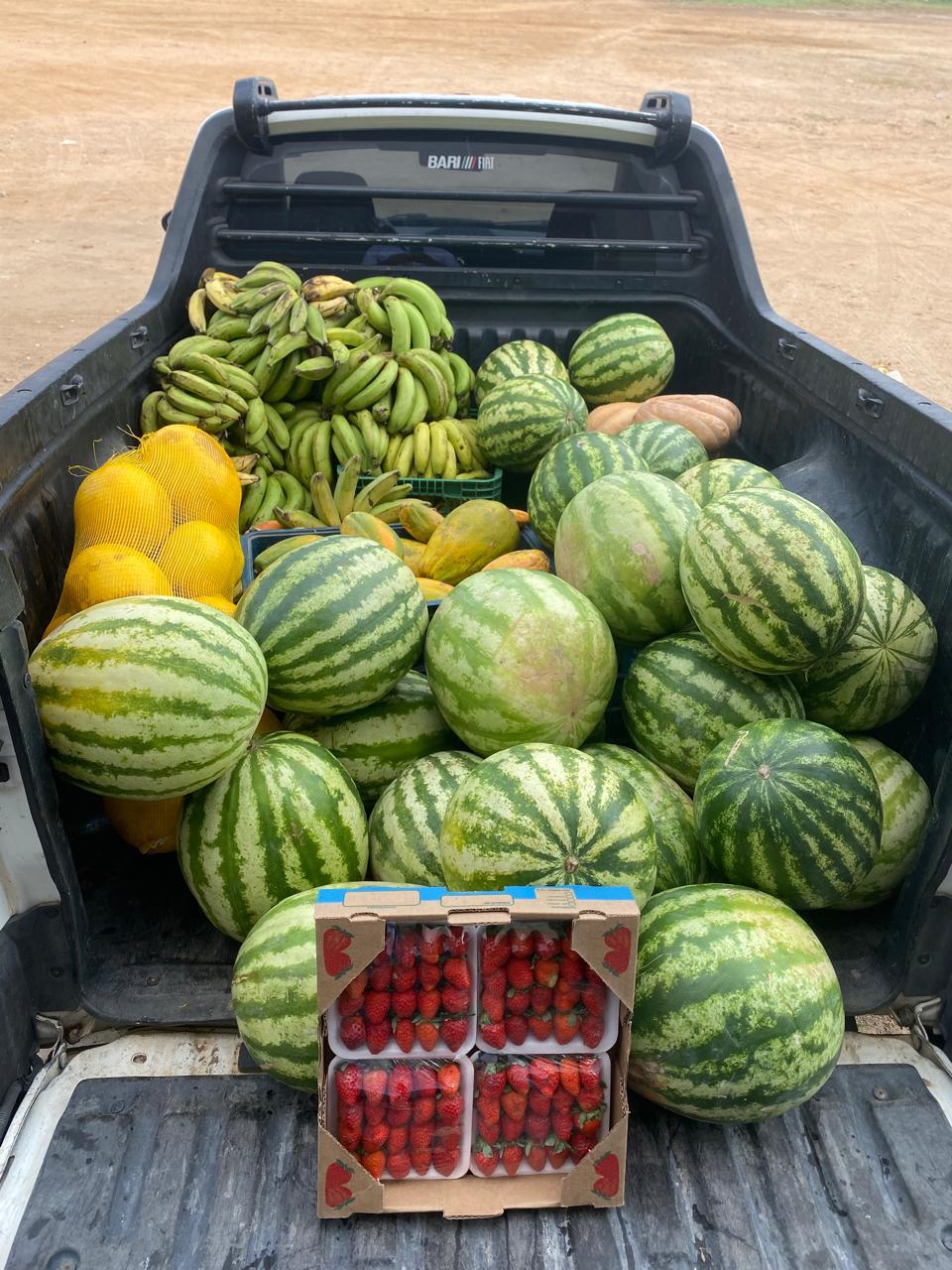 Banco de Alimentos de Juazeiro: projeto municipal que ajuda 8 mil pessoas por mês convoca novos doadores