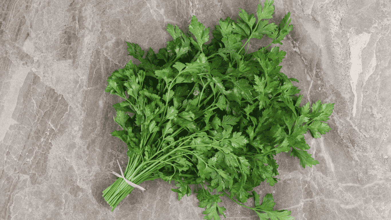 Confira a cotação dos hortifrutigranjeiros no Mercado do Produtor de Juazeiro nesta sexta-feira (14)