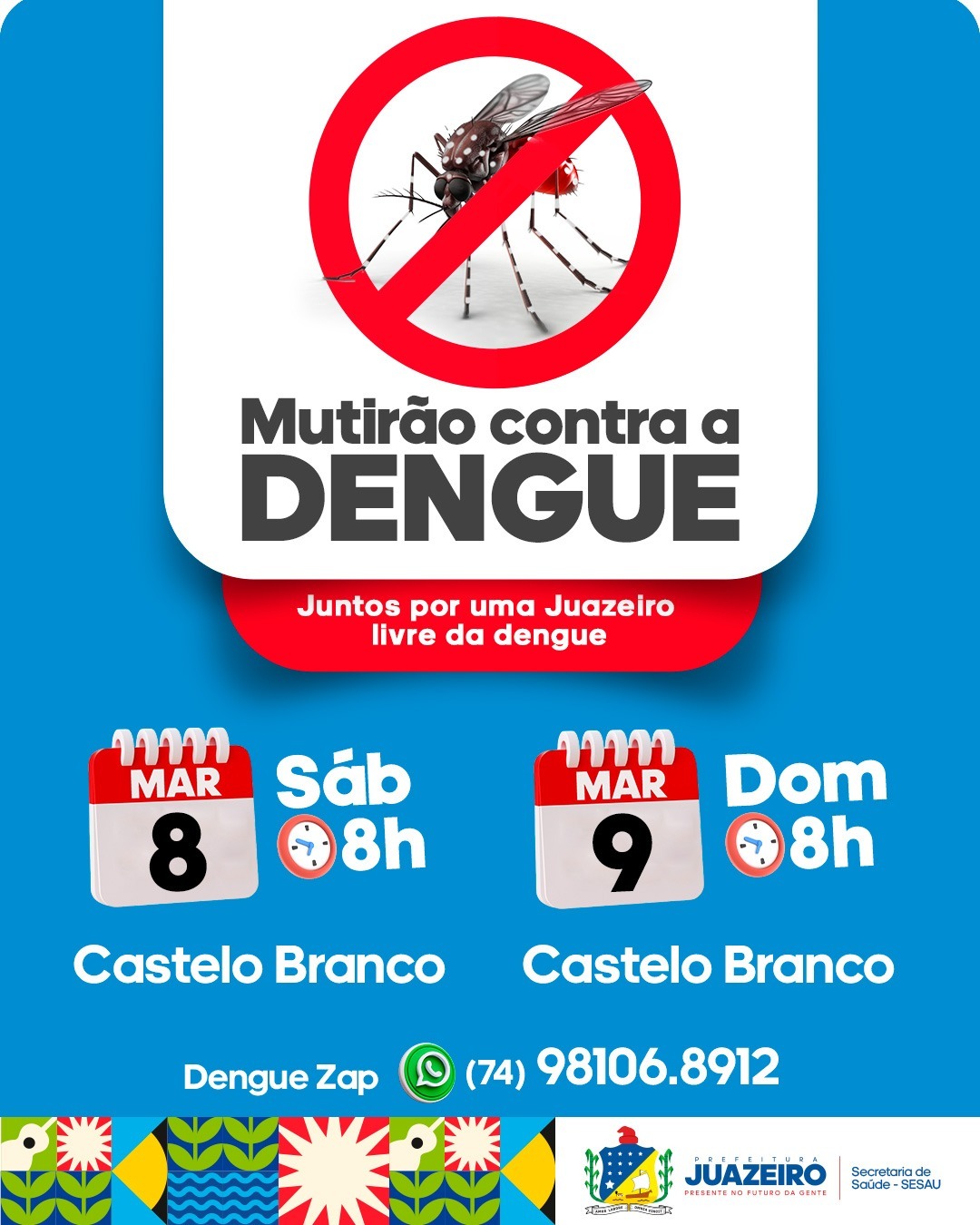 Mutirão de Combate às Arboviroses chega ao Castelo Branco no final de semana
