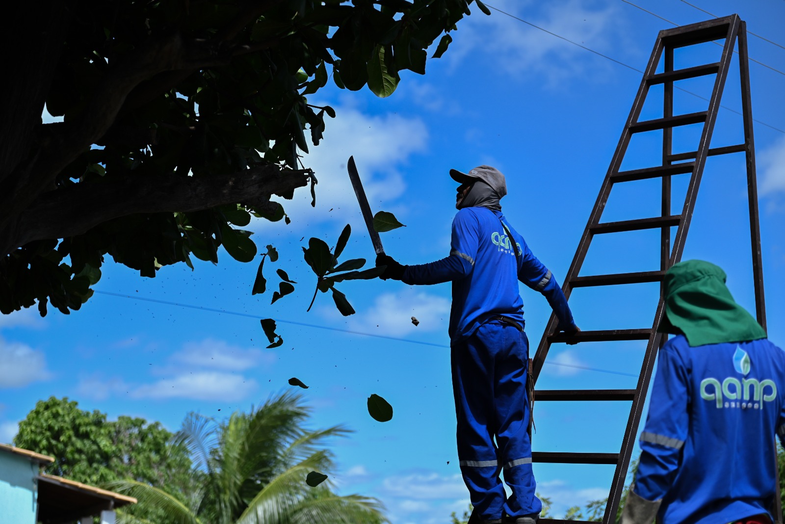 Em pouco mais de dois meses, mais de 700 podas de árvores já foram feitas em Juazeiro