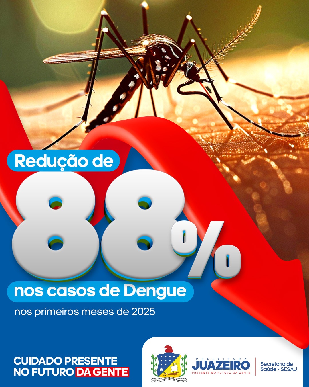Juazeiro unida contra o aedes aegypti: casos de dengue caem quase 90% no município