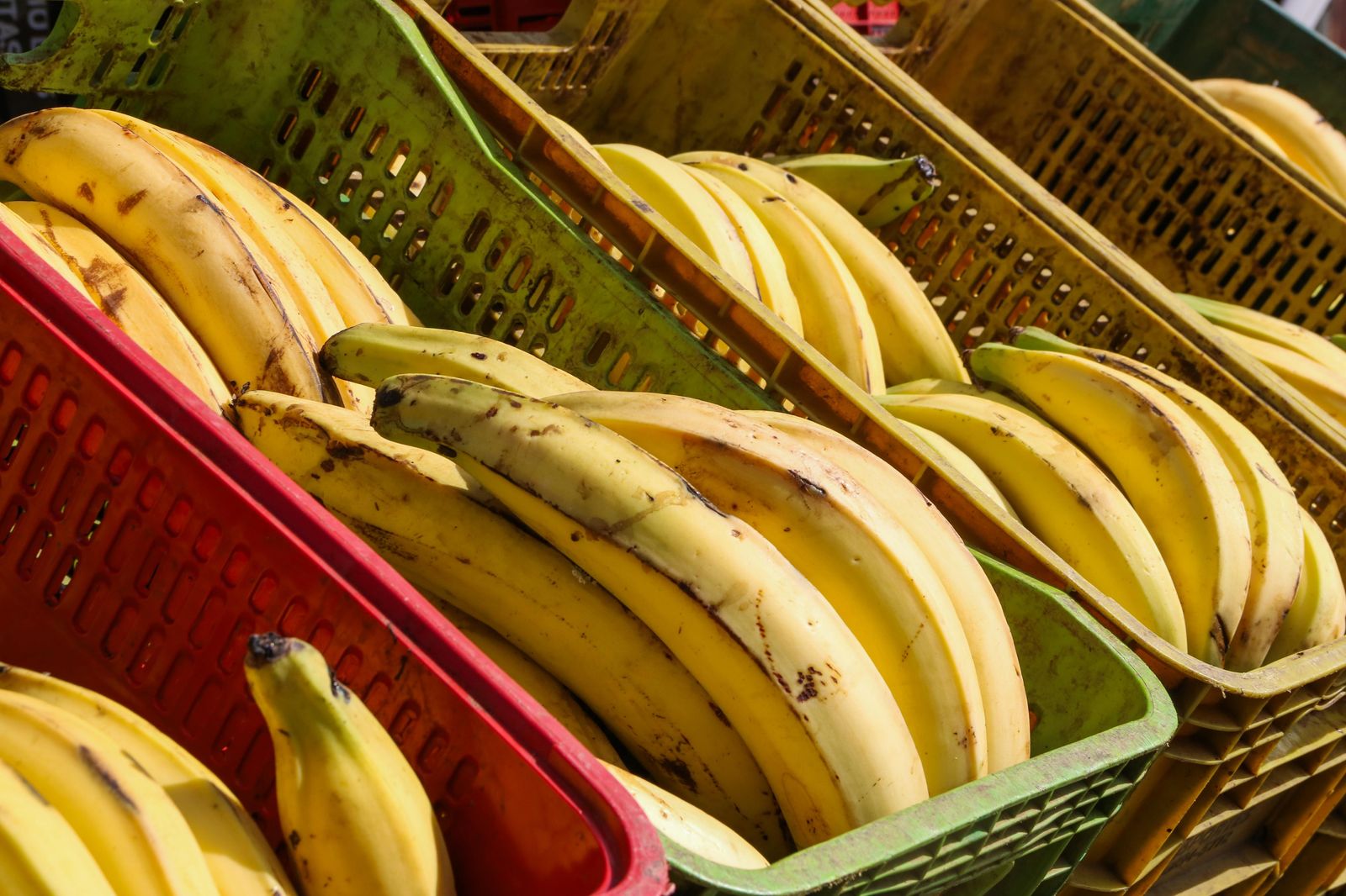 Confira a cotação dos hortifrutigranjeiros no Mercado do Produtor de Juazeiro nesta quinta-feira (3)