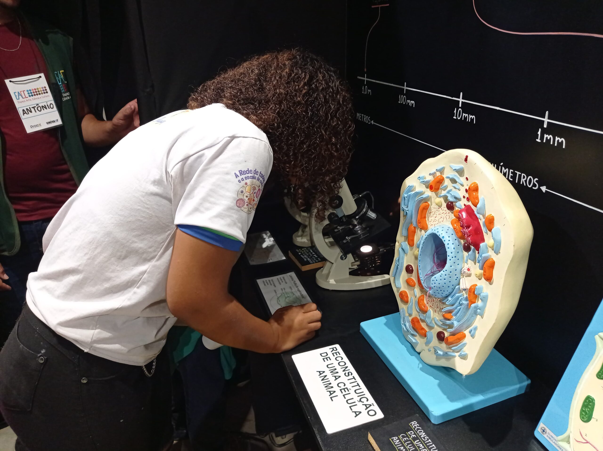 Estudantes da rede municipal de Juazeiro visitam o EACC e experimentam a ciência na prática