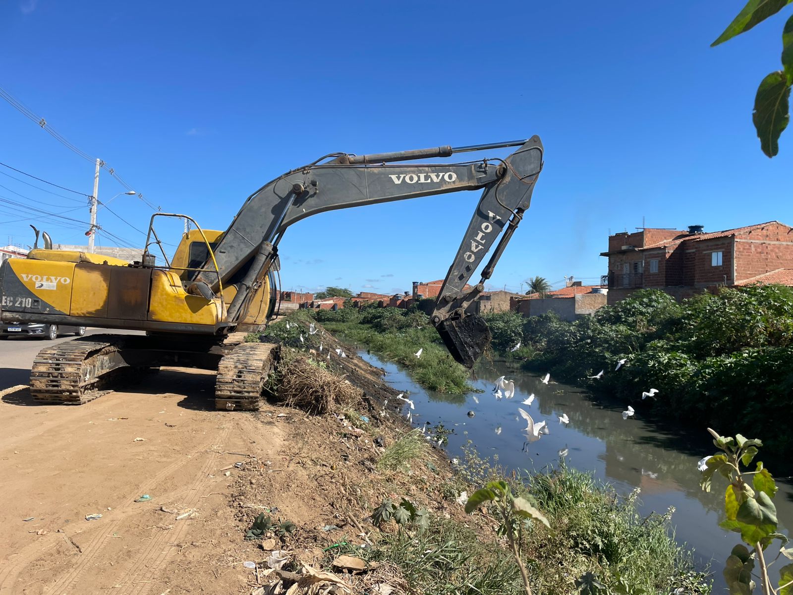 Força-tarefa contra as muriçocas: Prefeitura de Juazeiro intensifica ações integradas entre a Sesp e a Sesau