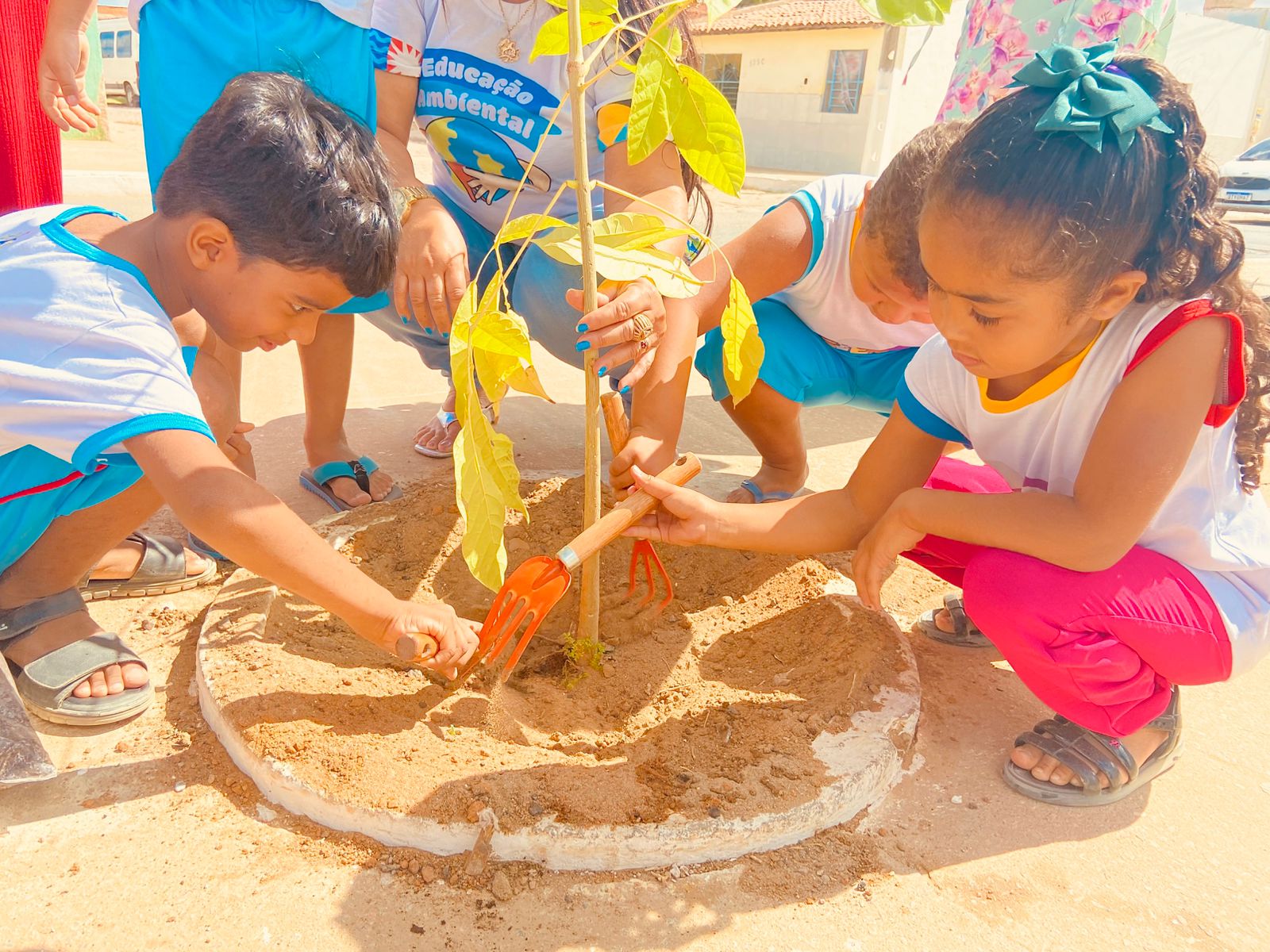 Juazeiro 147 Anos – Meio Ambiente: Educação ambiental marca os 147 anos de Juazeiro com plantio de mudas no bairro Quidé