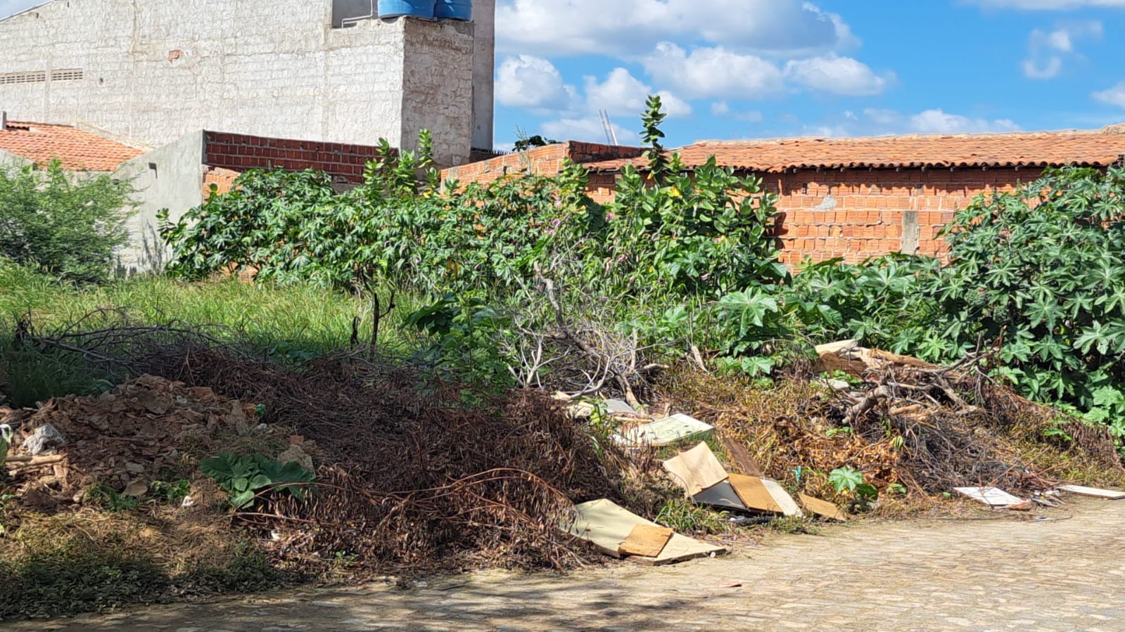 Proprietários de terrenos baldios que foram notificados via edital têm até 18 de agosto para regularizar situação e evitar inscrição na dívida ativa