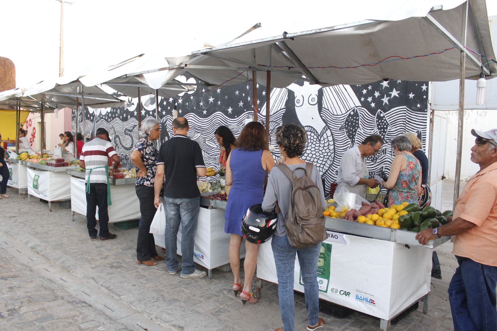 Feira de Orgânicos do Vale fortalece agricultura familiar e promove alimentação saudável e incentivo à valorização do campo em Juazeiro