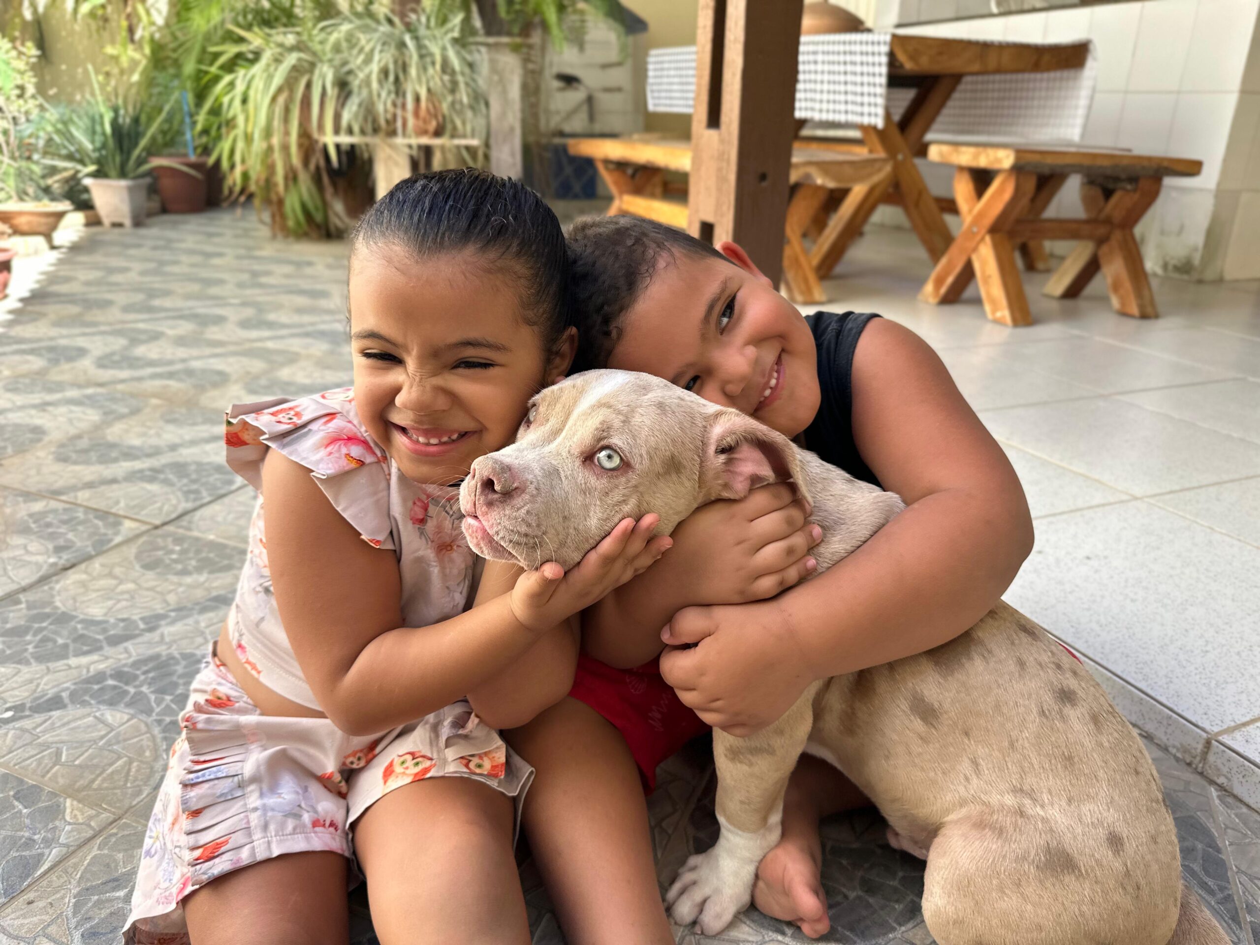 Juazeiro inicia pré-cadastro de controle populacional de cães e gatos com castrações gratuitas