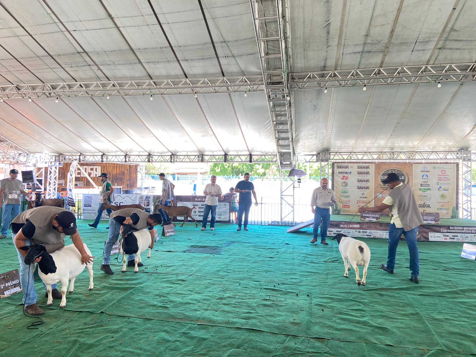 16ª Expovale movimenta Juazeiro e consolida a cidade como referência na caprinovinocultura