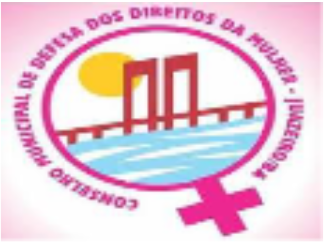 Perfil do Conselho Municipal de Defesa dos Direitos da Mulheres - CMDDM