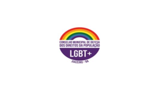 Perfil do Conselho Municipal da População LGBT+ - CMDPLGBT+