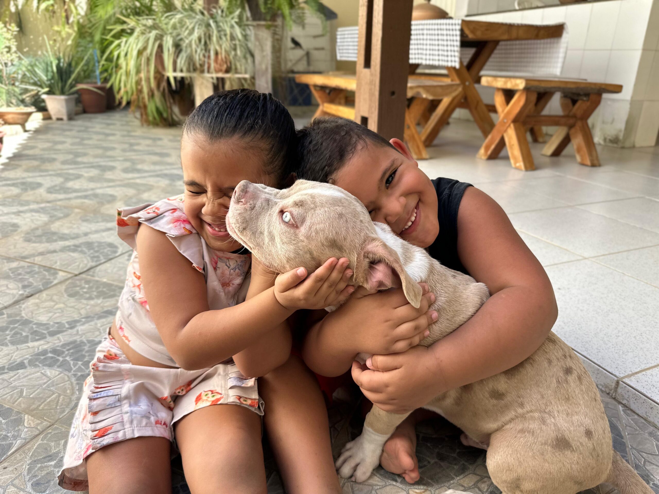 Juazeiro atualiza link para pré-cadastro de castrações gratuitas de cães e gatos