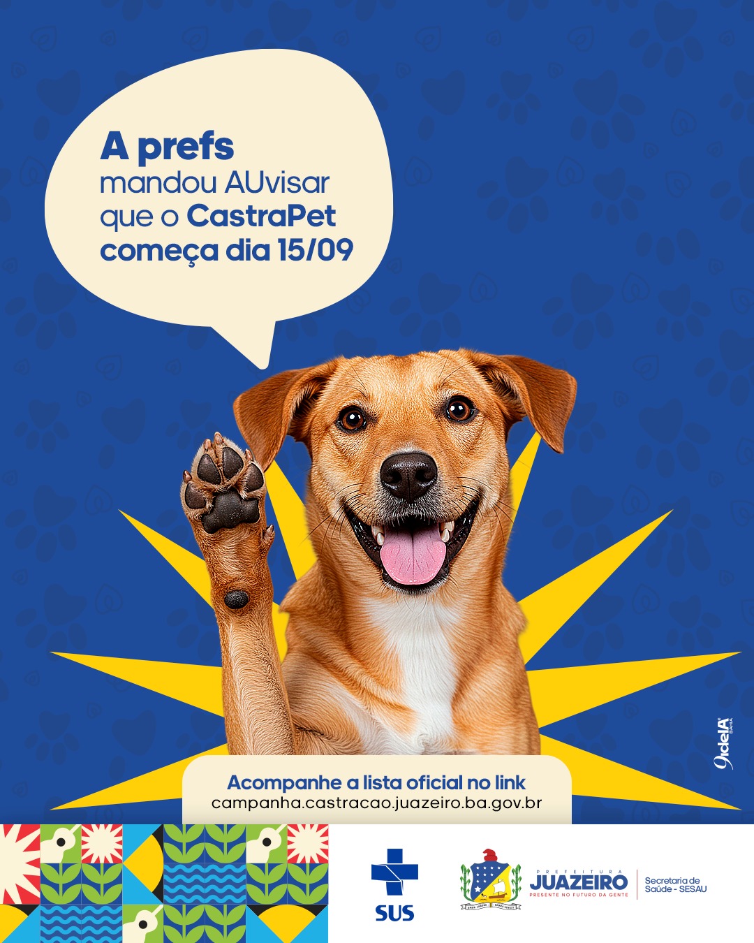 Prefeitura de Juazeiro divulga primeira lista de contemplados para Projeto de Castração de cães e gatos nesta quinta (11)
