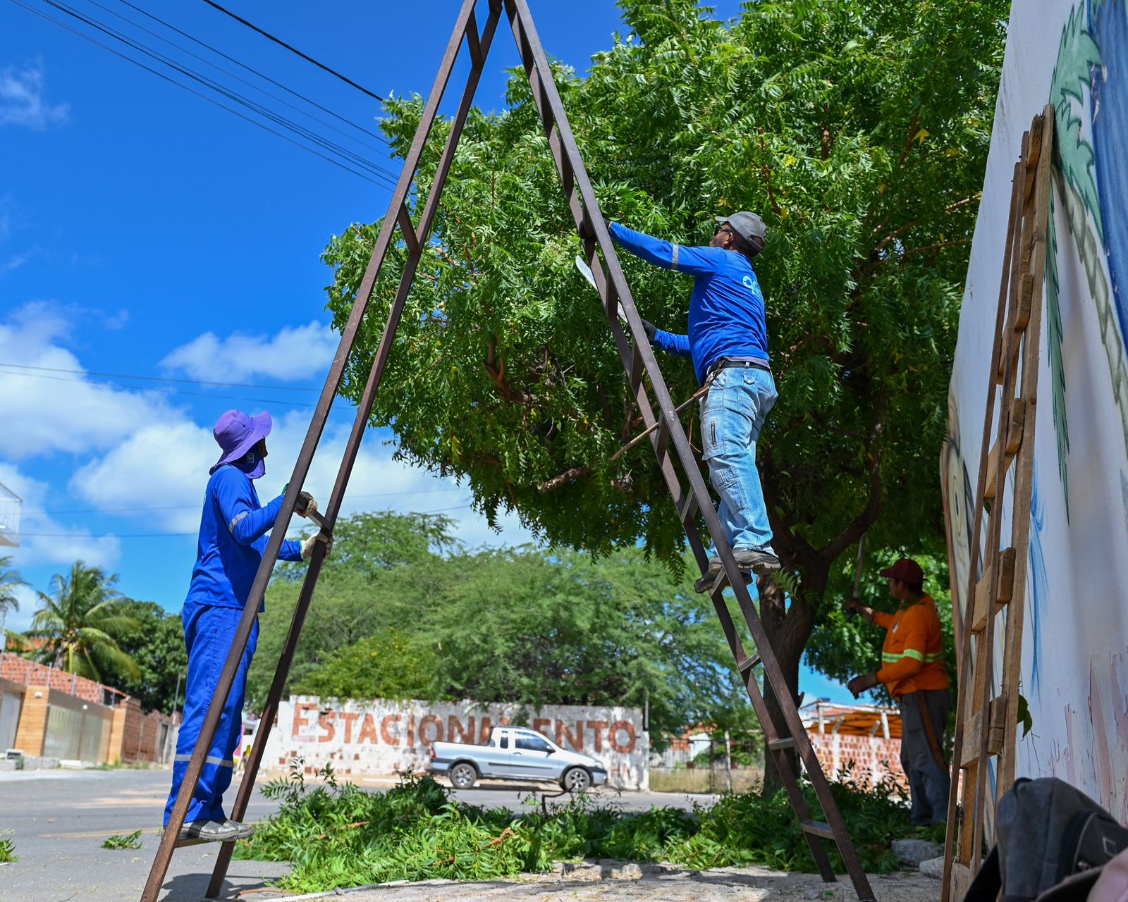 Juazeiro realiza poda de 540 árvores em agosto com ações na sede e no interior