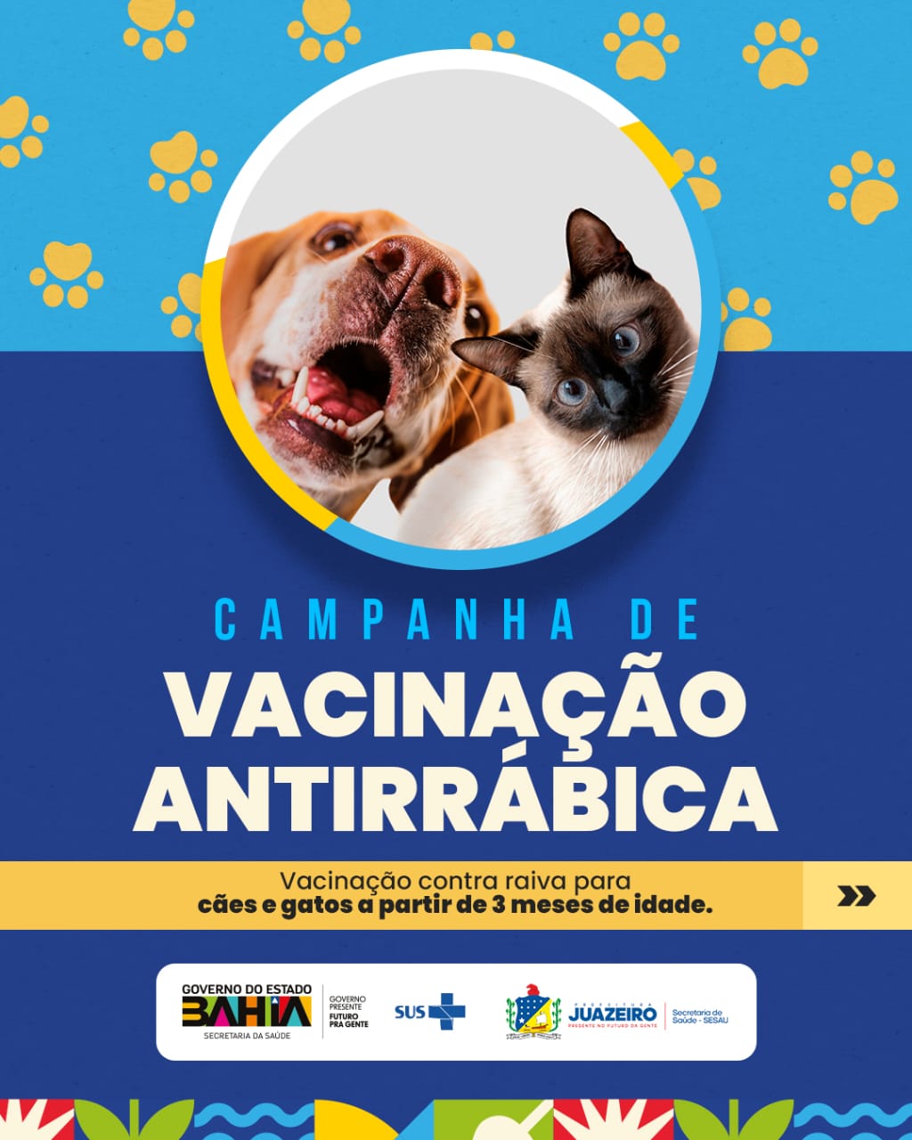 Prefeitura de Juazeiro segue com Campanha de Vacinação Antirrábica 2025