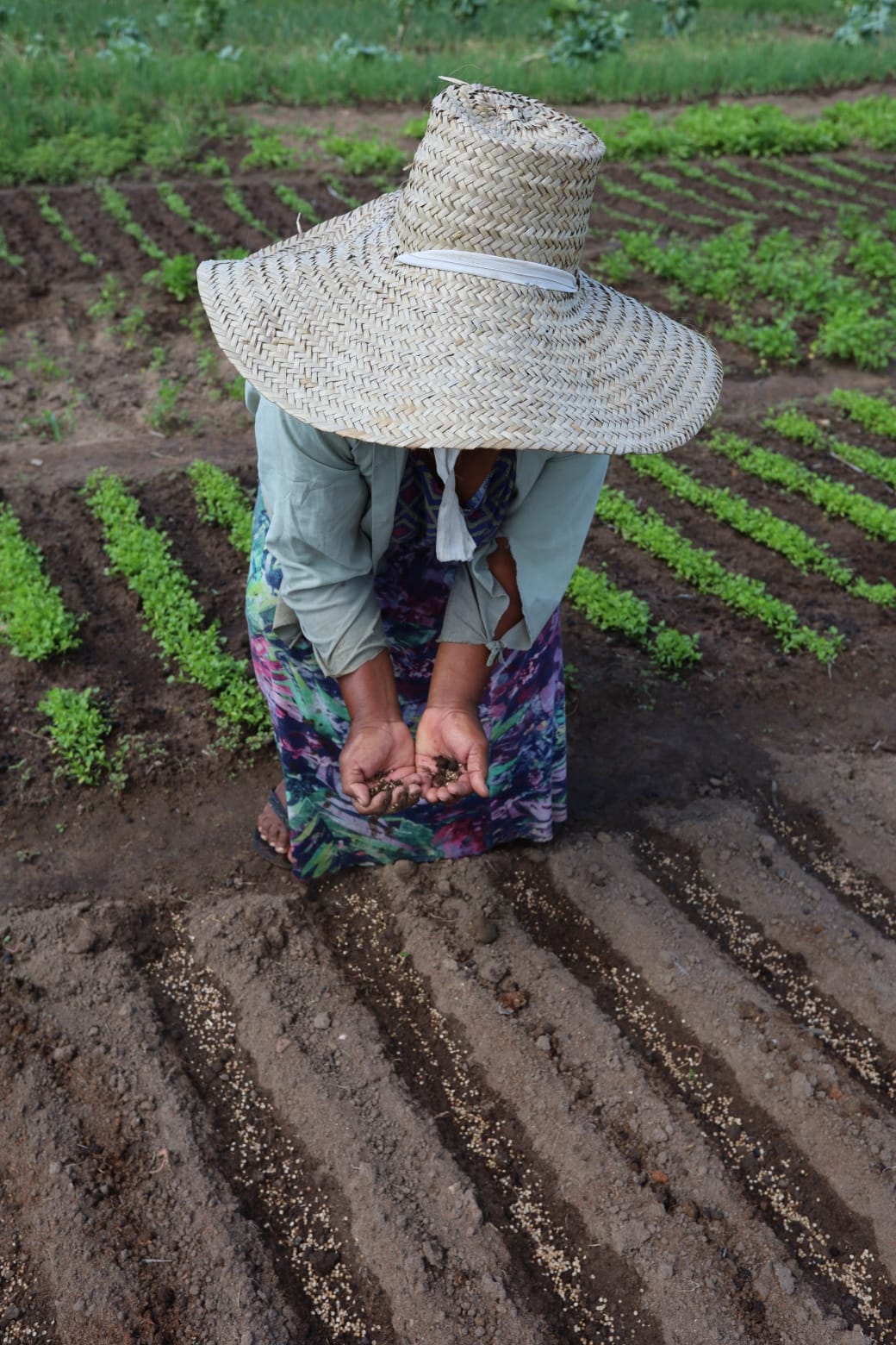 Prefeitura de Juazeiro informa início do pagamento do Garantia Safra 2024/2025.