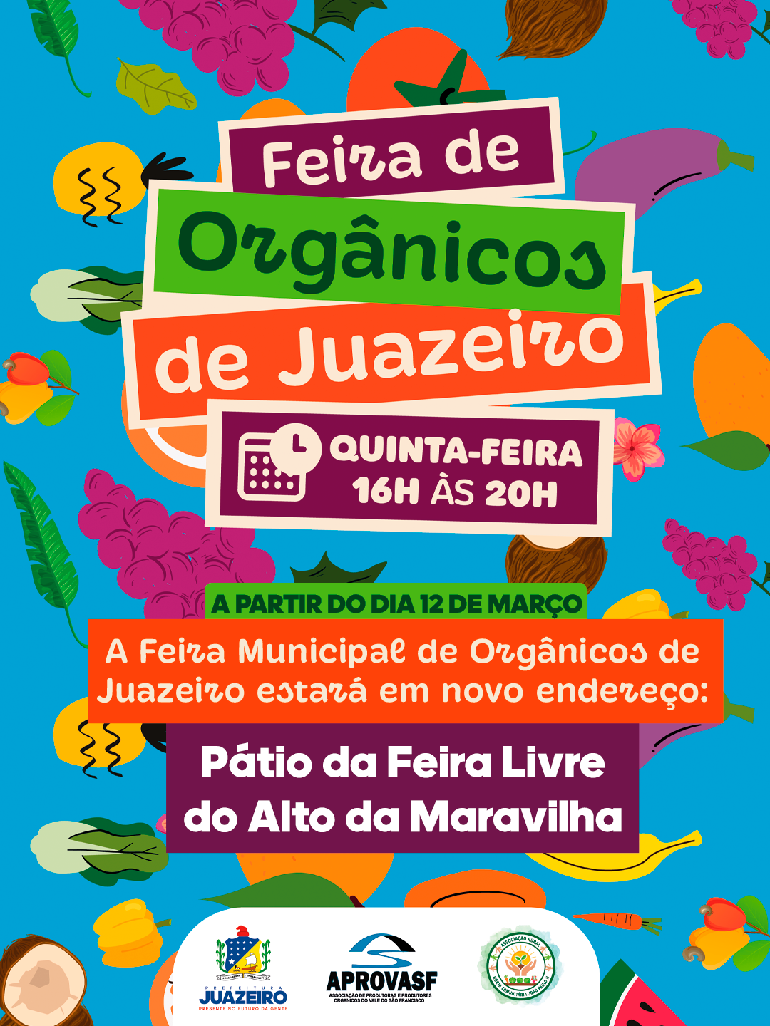 Feira de Orgânicos de Juazeiro passa a funcionar na Feira Livre do bairro Alto da Maravilha a partir desta quinta-feira (12)