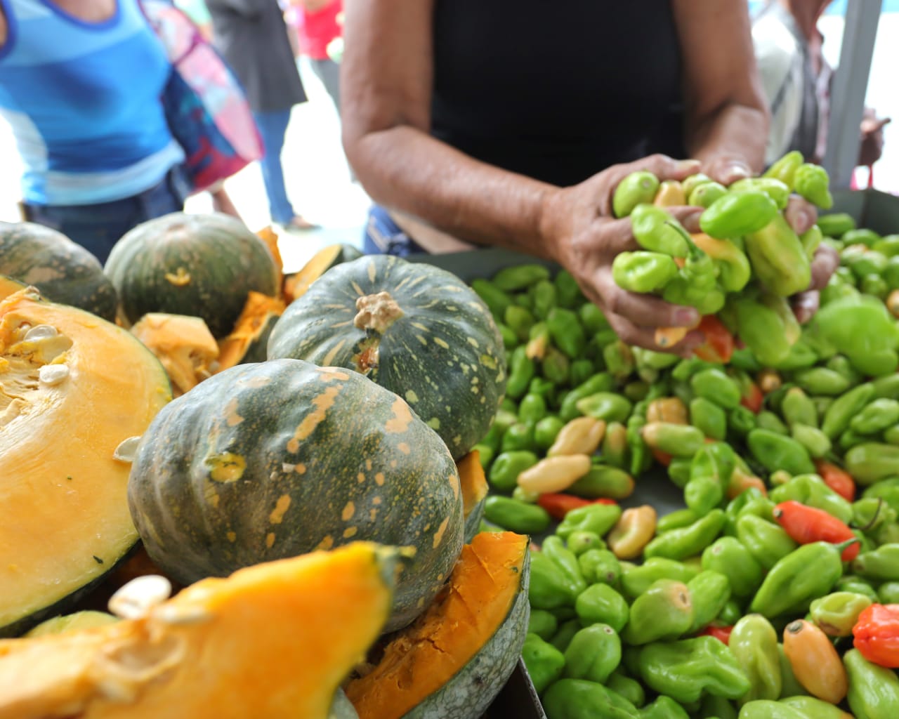 AMA divulga preços atualizados de hortifrutigranjeiros no Mercado do Produtor de Juazeiro nesta terça (28)