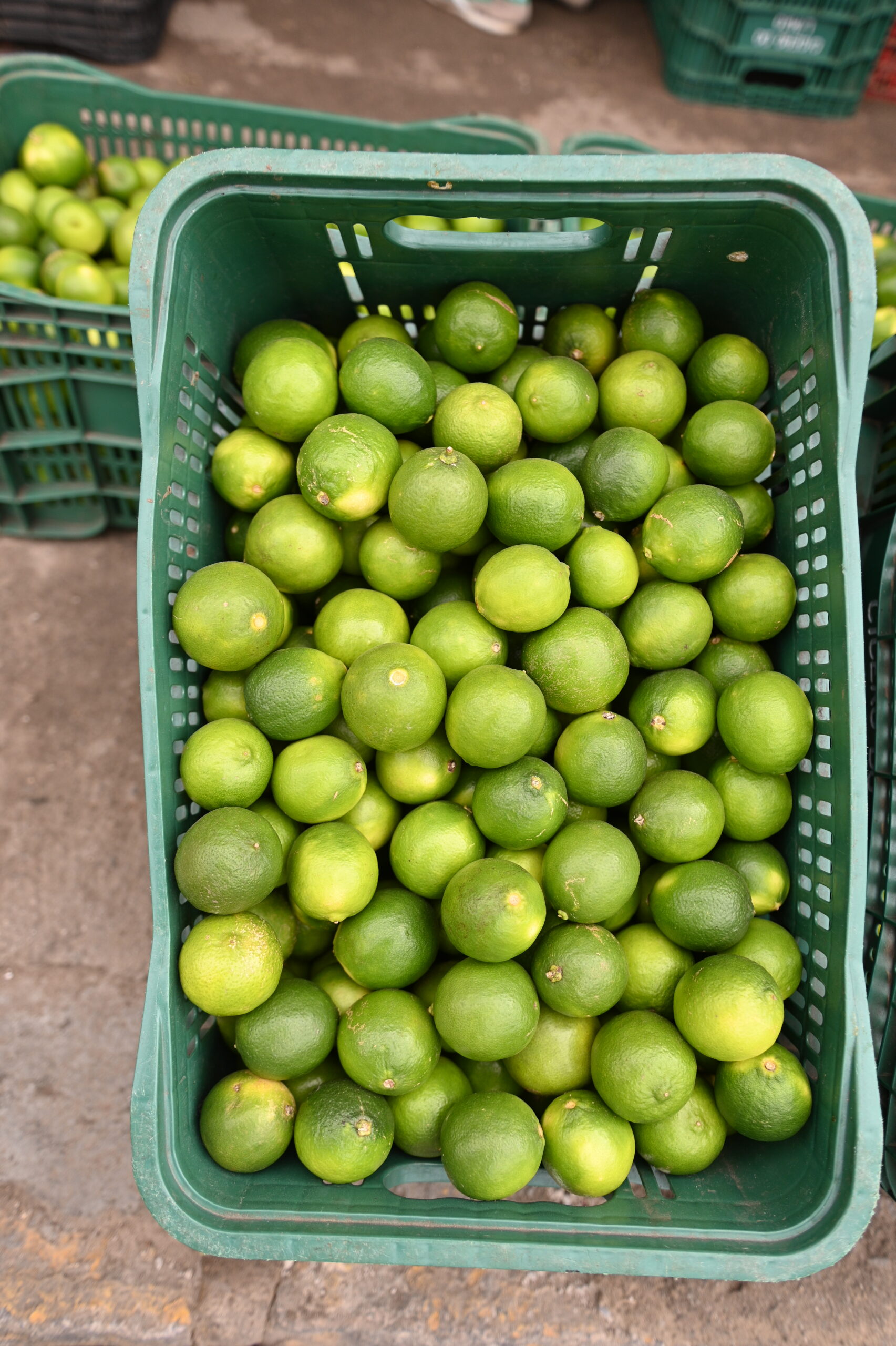 AMA divulga cotação dos hortifrutigranjeiros comercializados no Mercado do Produtor de Juazeiro nesta quinta-feira (28)