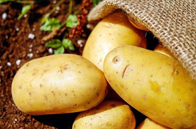 AMA divulga cotação de hortifrutigranjeiros comercializados no Mercado do Produtor nesta quarta-feira