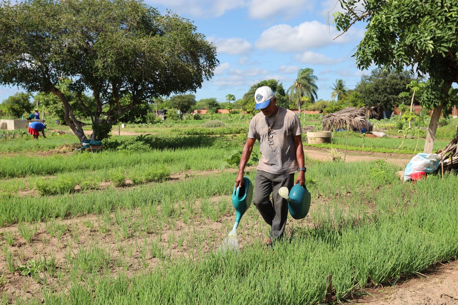 Dia do Agricultor: Prefeitura de Juazeiro celebra quem cultiva o desenvolvimento do município