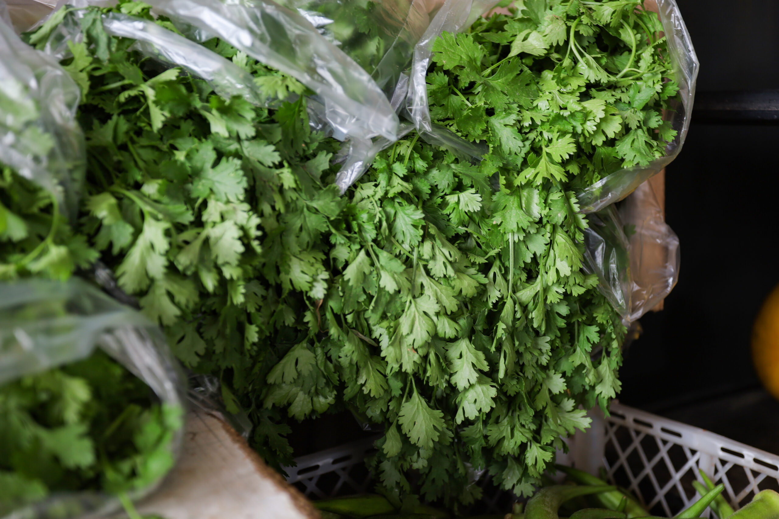 AMA divulga cotação de hortifrutigranjeiros comercializados no Mercado do Produtor nesta segunda