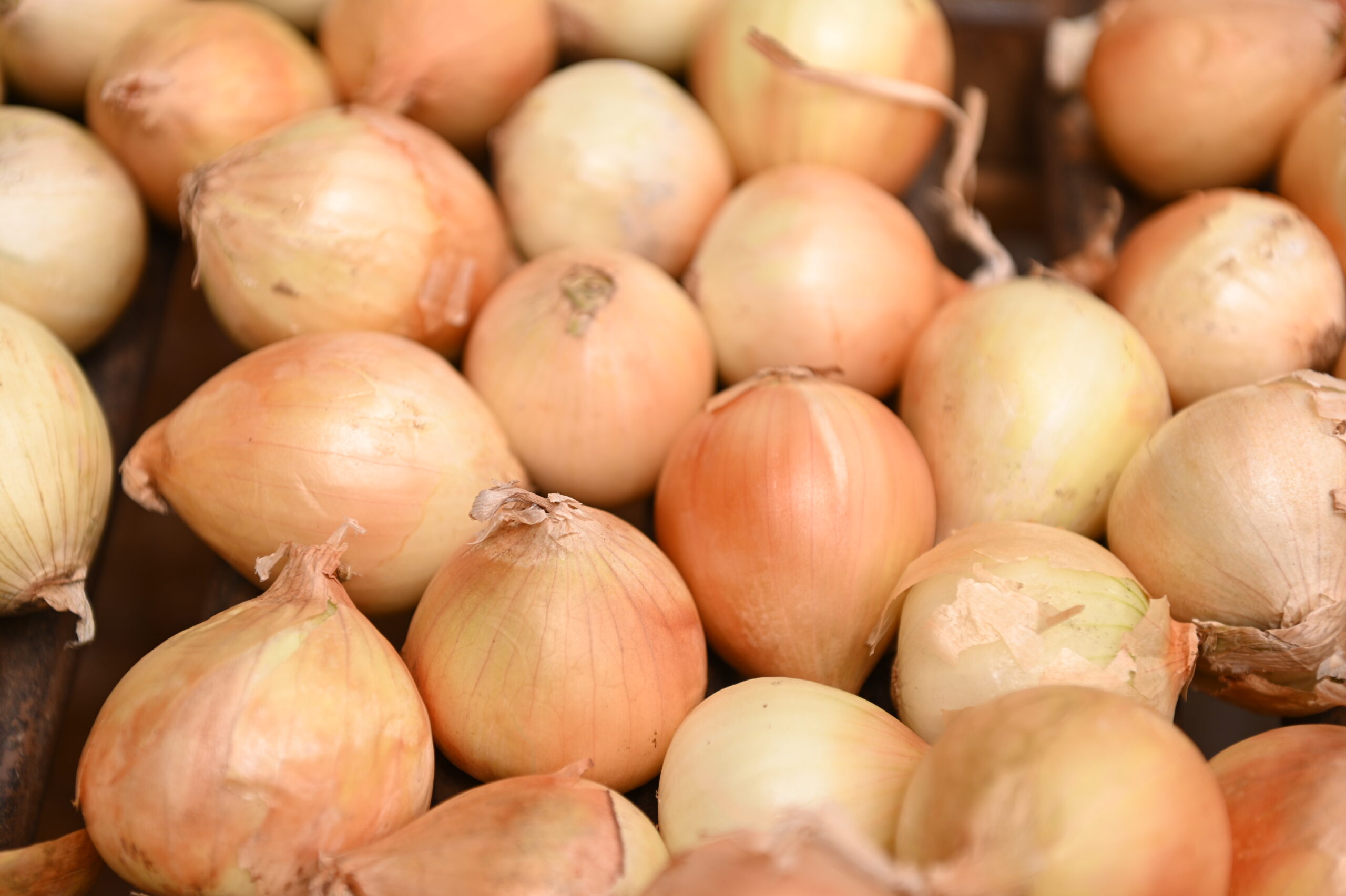 AMA divulga cotação de hortifrutigranjeiros comercializados no Mercado do Produtor nesta segunda-feira (13)