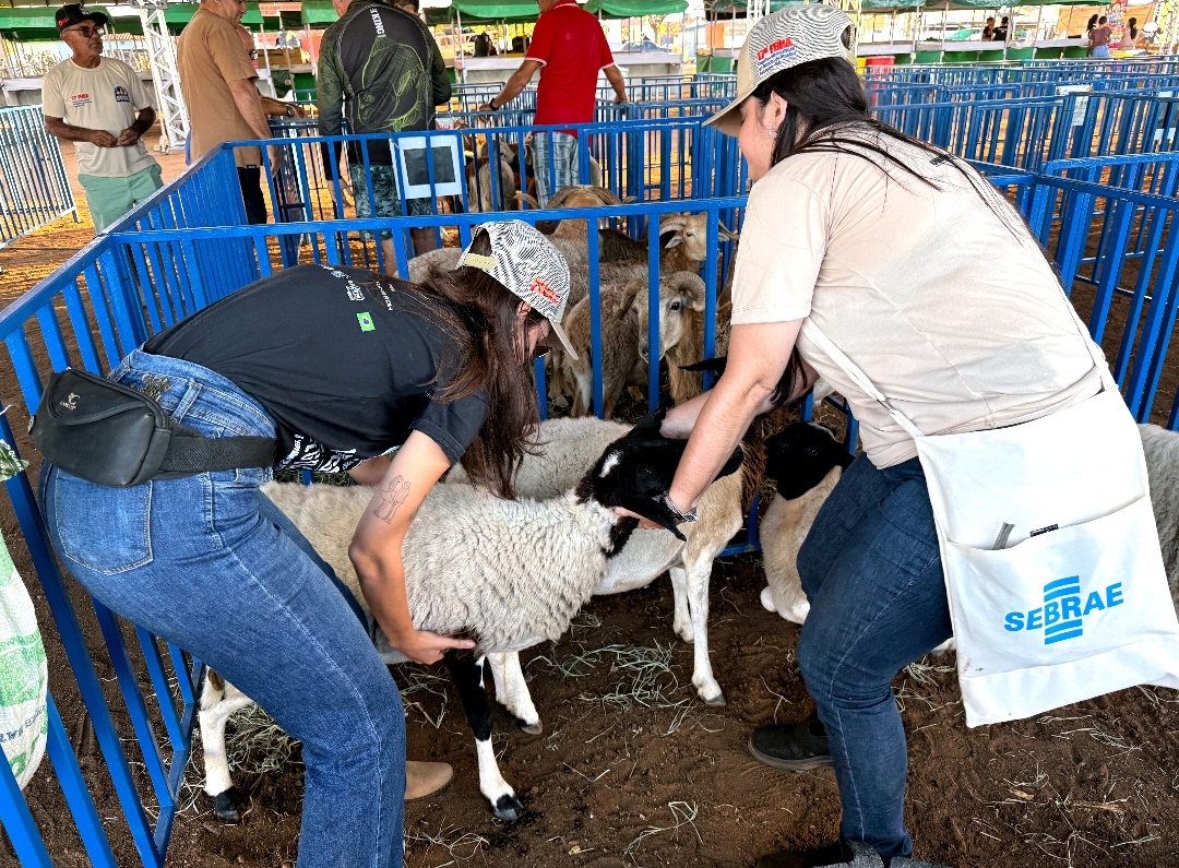 PROJUA no Desenvolvimento Rural: tradição, cultura e cidadania marcam a abertura da 17ª Feira do Bode de Pinhões