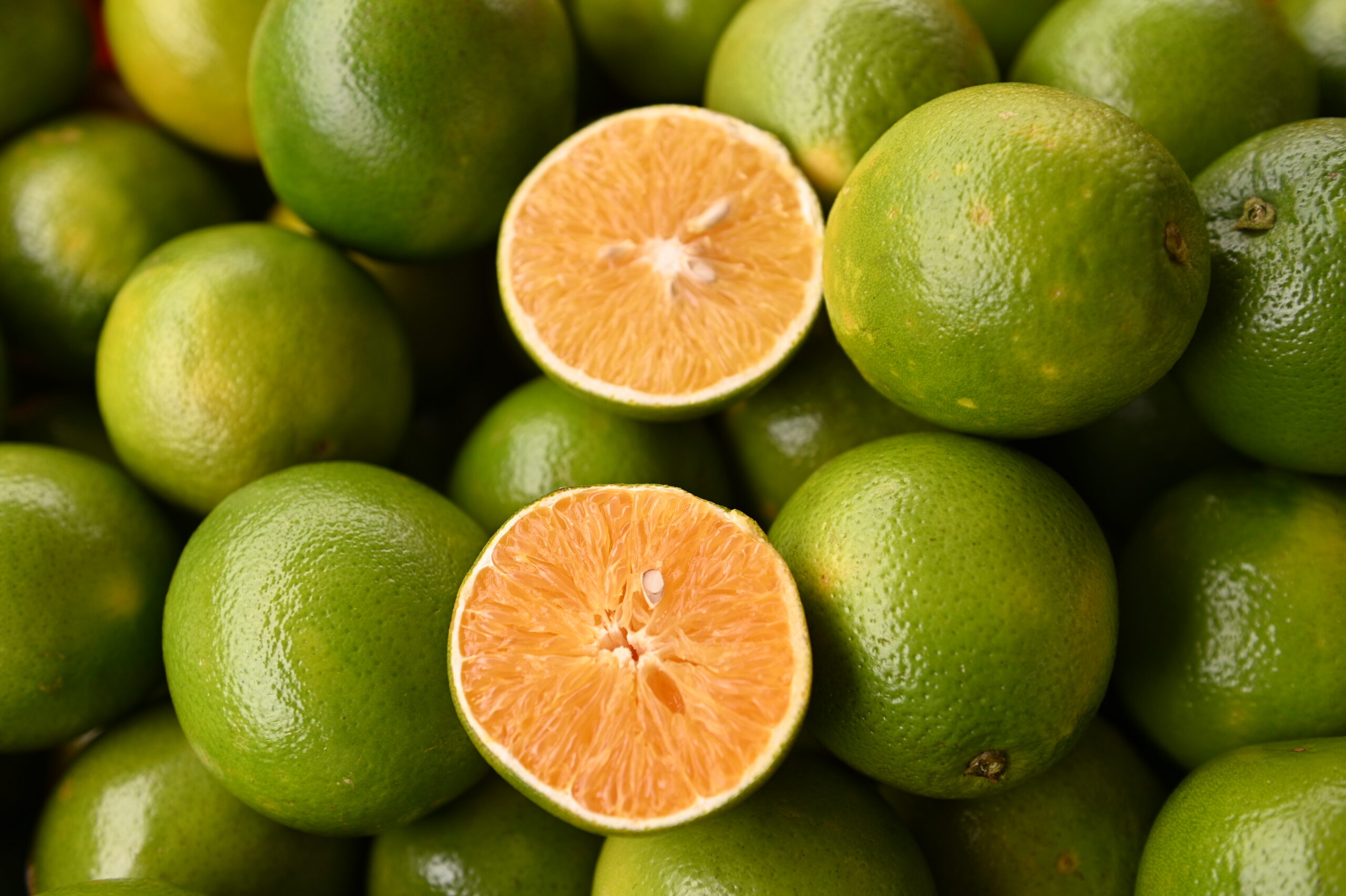 AMA divulga cotação dos hortifrutigranjeiros comercializados no Mercado do Produtor de Juazeiro nesta terça-feira (25)