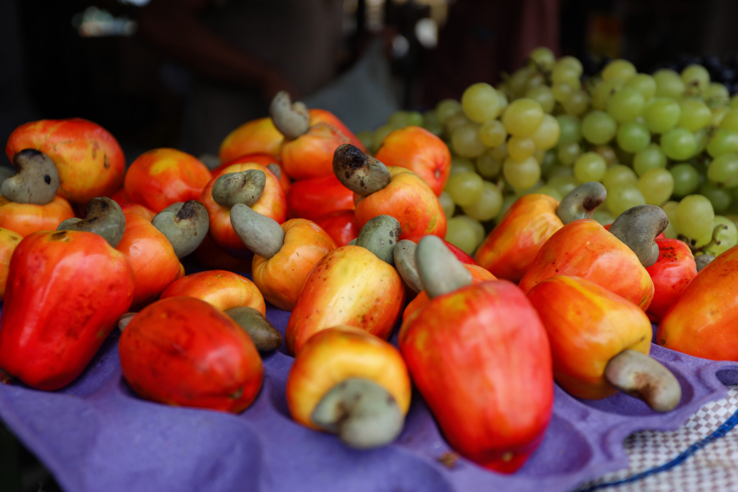 Prefeitura de Juazeiro divulga cotação dos hortifrutigranjeiros comercializados no Mercado do Produtor nesta segunda-feira (28)