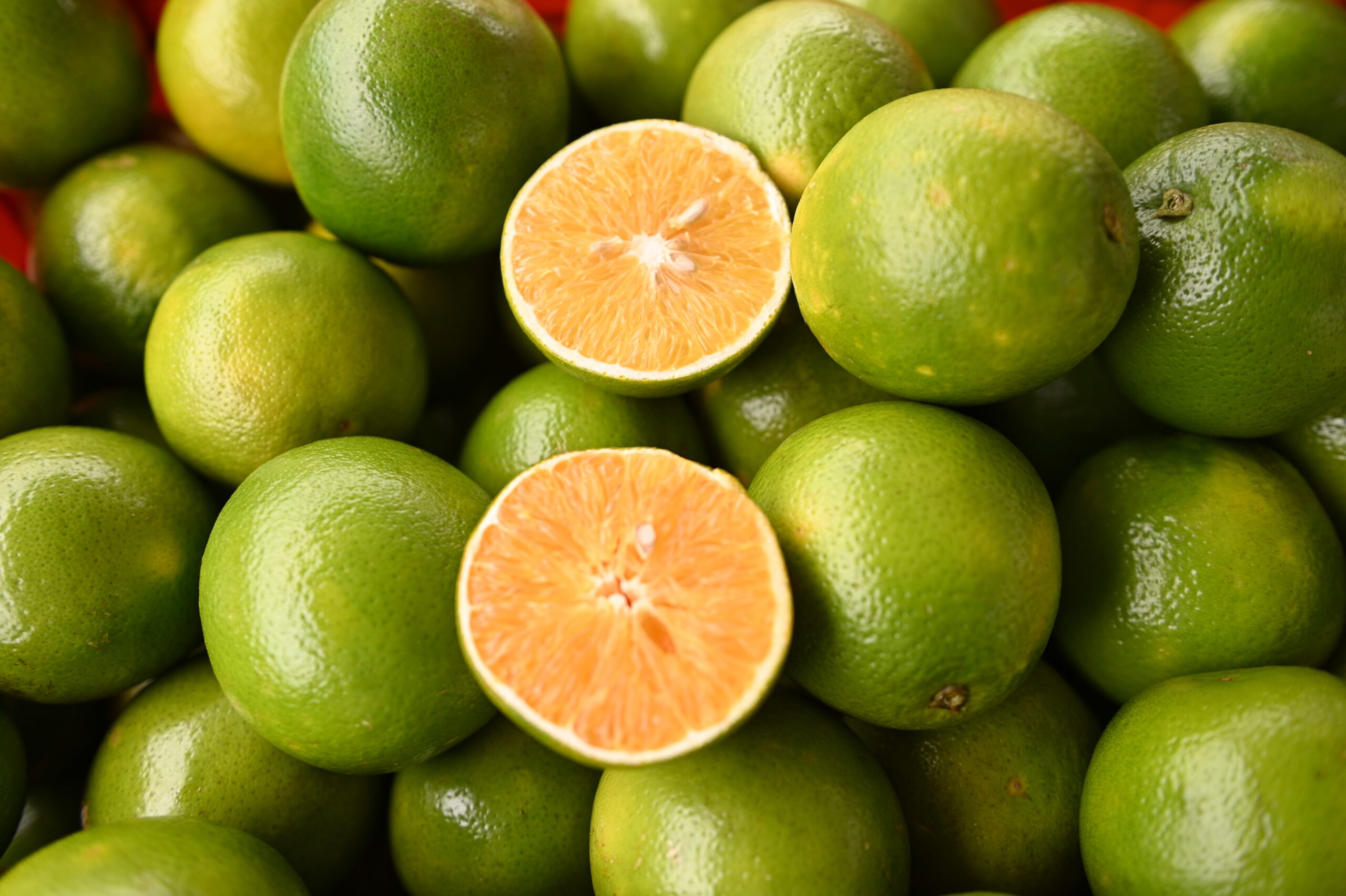 Prefeitura de Juazeiro divulga cotação dos hortifrutigranjeiros comercializados no Mercado do Produtor nesta quarta-feira (23)