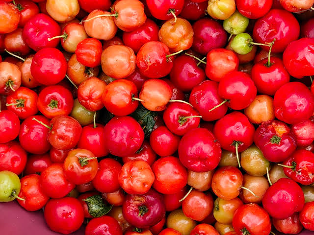 Prefeitura de Juazeiro divulga cotação dos hortifrutigranjeiros comercializados no Mercado do Produtor desta segunda-feira (21)