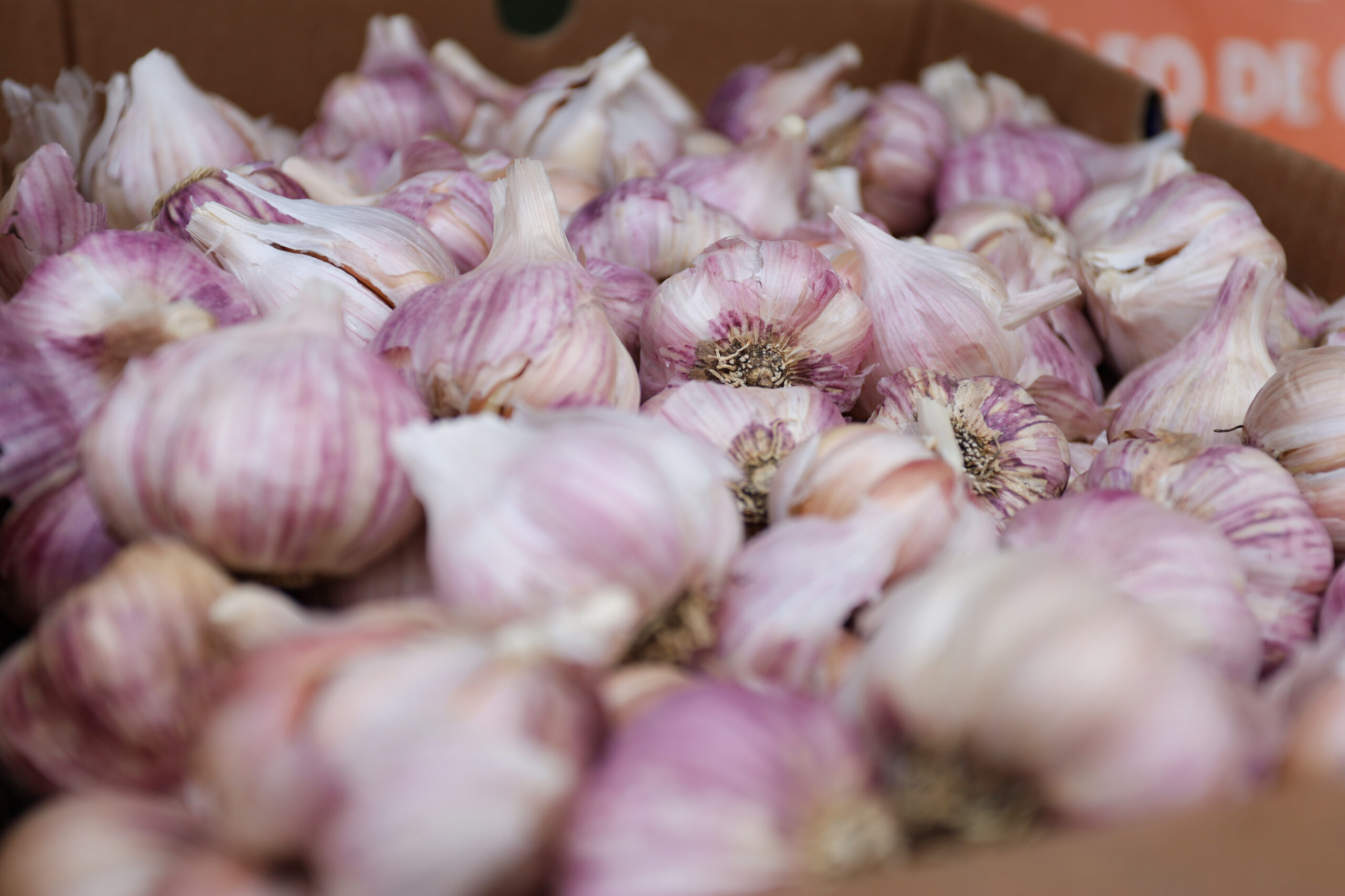 Prefeitura de Juazeiro divulga cotação dos hortifrutigranjeiros comercializados no Mercado do Produtor nesta quarta-feira (21